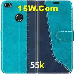 Login Seguro 55k